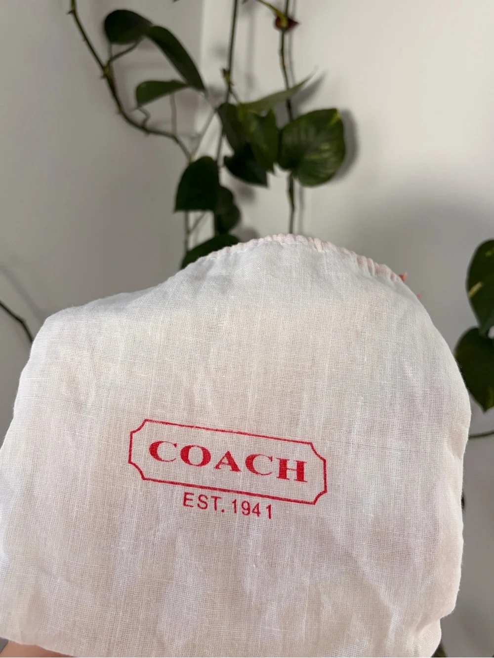 Coach Green Suede Wristlet